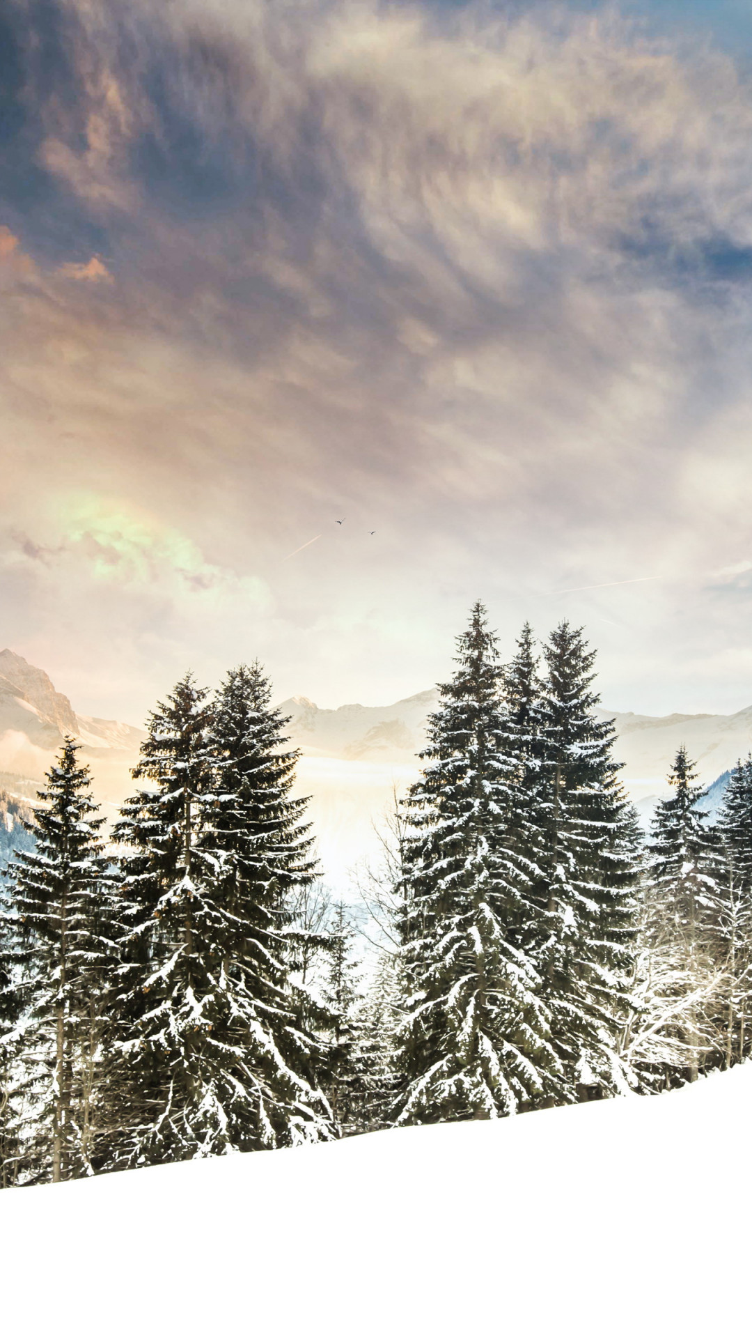 Winter view on Mount Eggli wallpaper 1080x1920