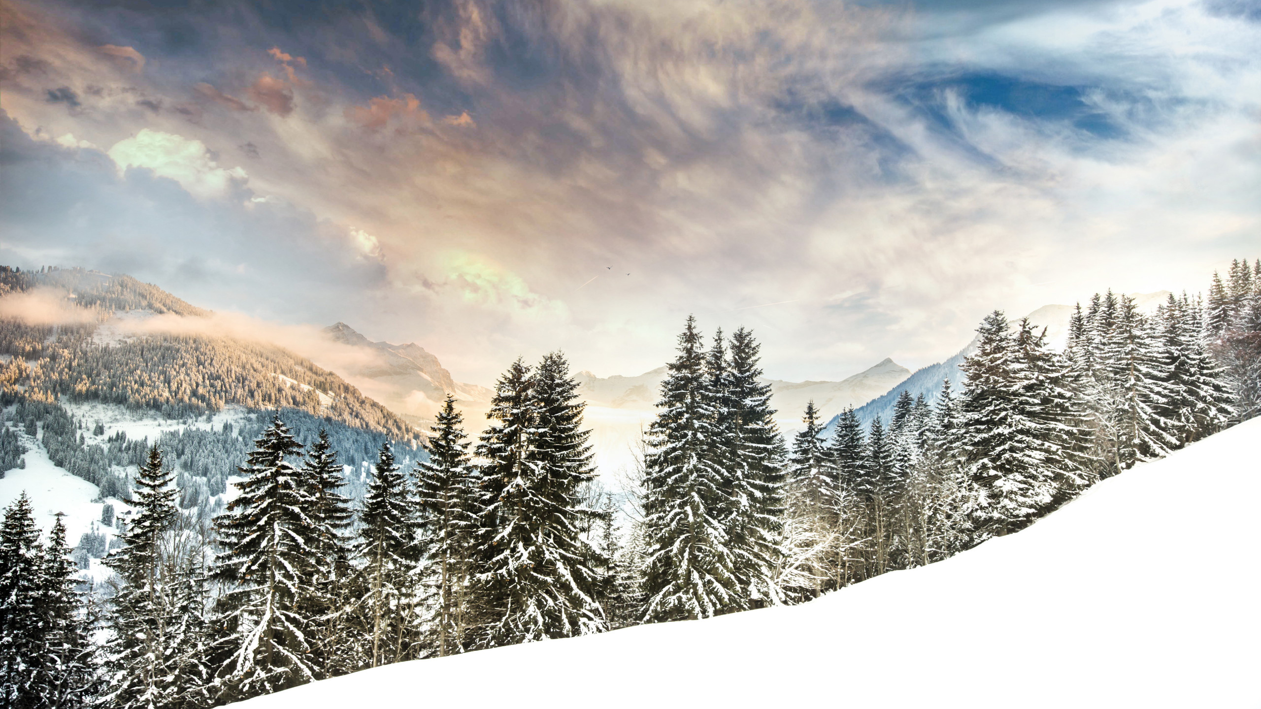Winter view on Mount Eggli wallpaper 2560x1440