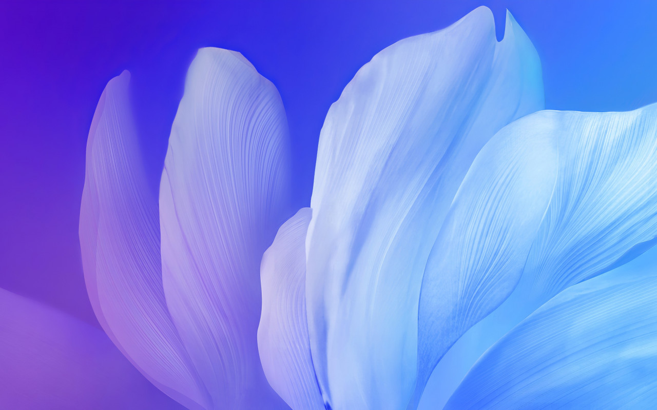Digital petals wallpaper 1280x800