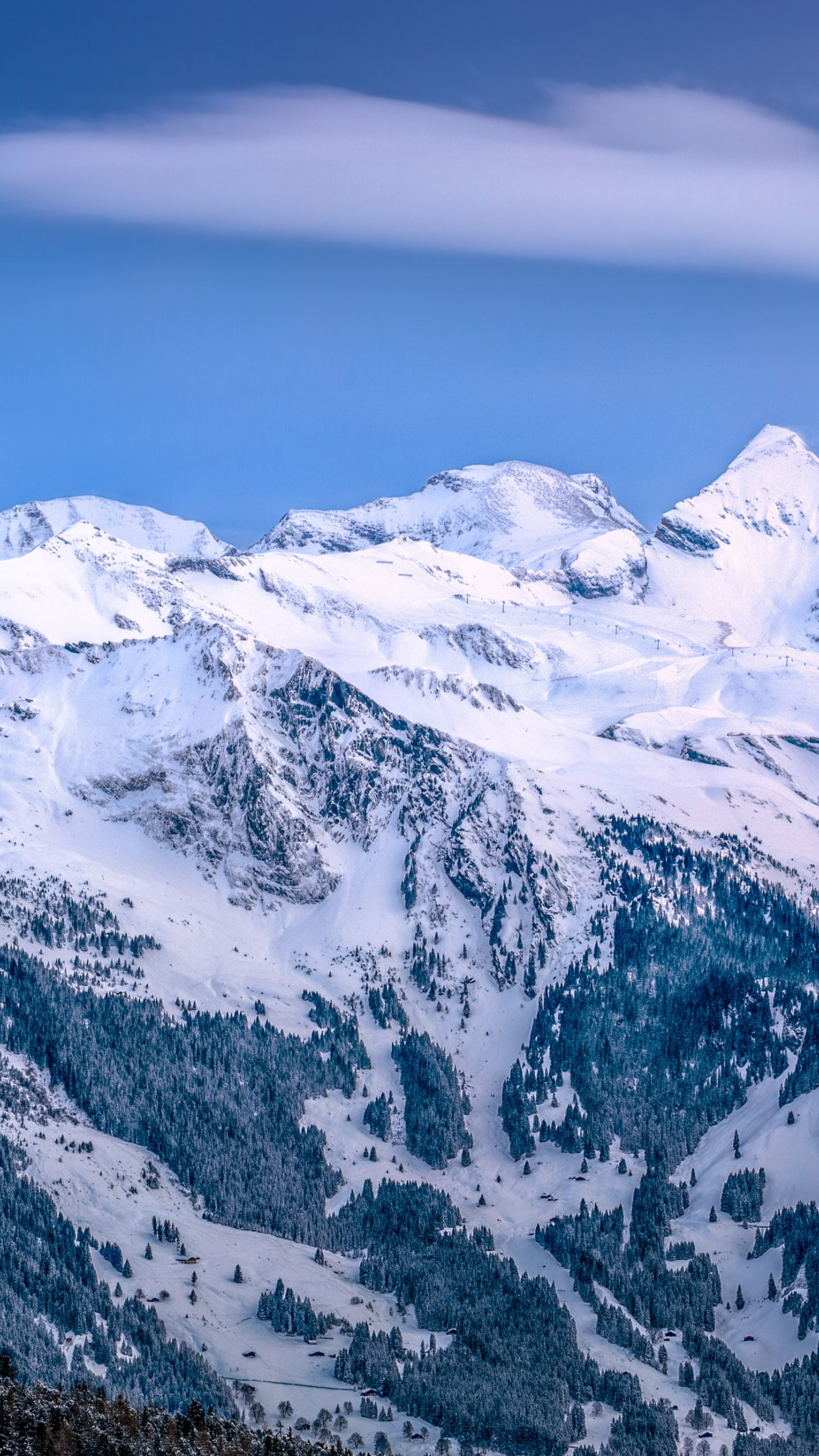 Alpine scenery from Kleine Scheidegg, Switzerland wallpaper 1242x2208