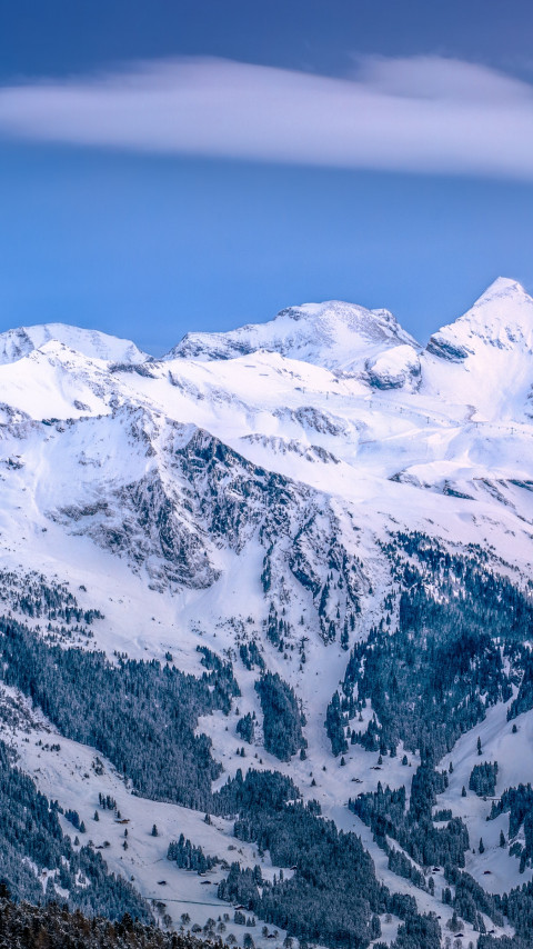 Alpine scenery from Kleine Scheidegg, Switzerland wallpaper 480x854