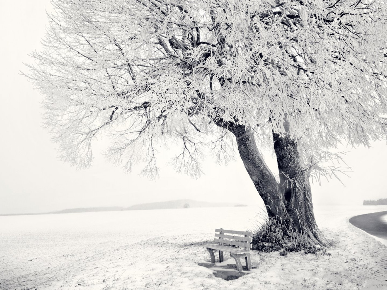 Frozen Winter landscape wallpaper 1280x960