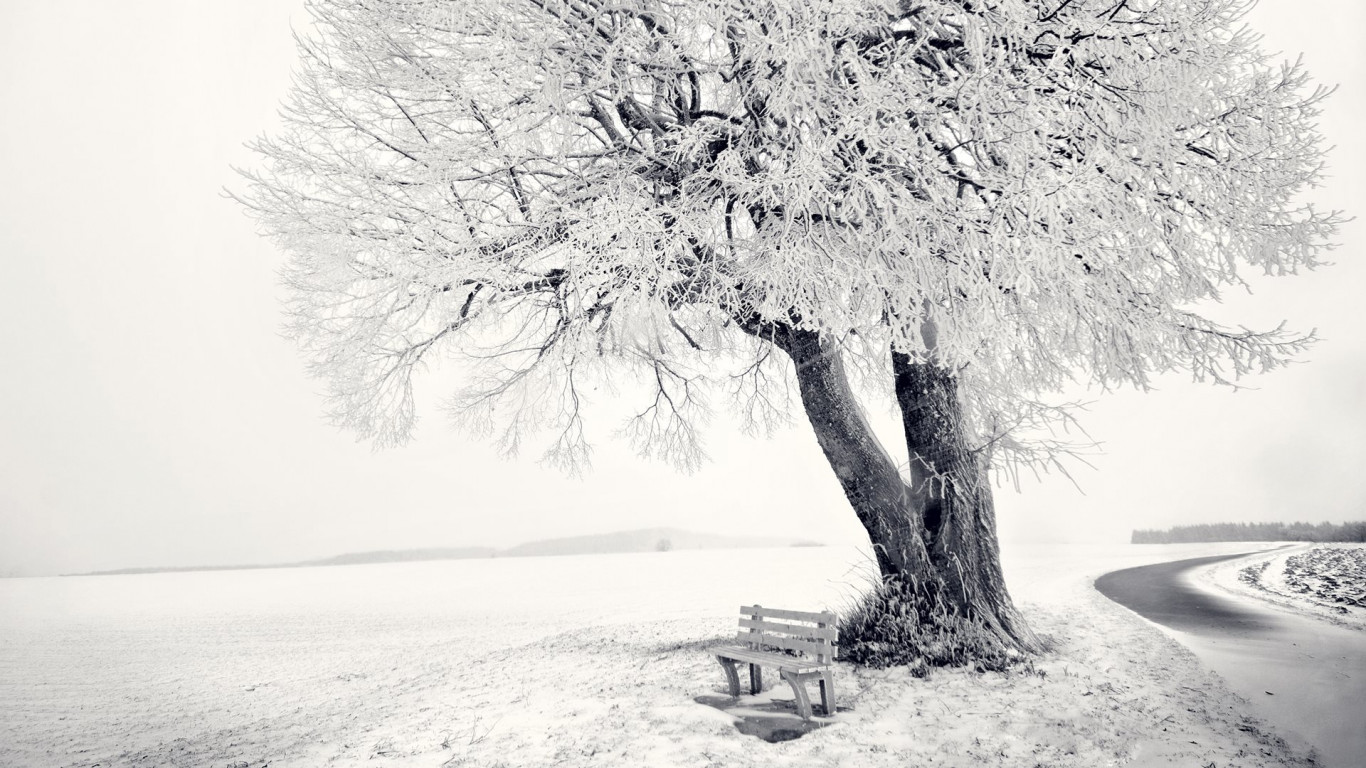 Frozen Winter landscape wallpaper 1366x768