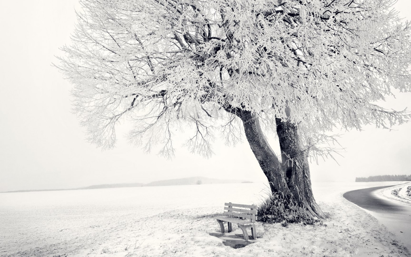 Frozen Winter landscape wallpaper 1440x900