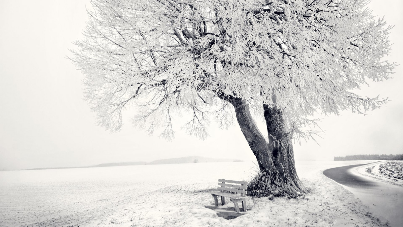 Frozen Winter landscape wallpaper 1600x900