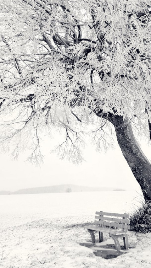 Frozen Winter landscape wallpaper 480x854