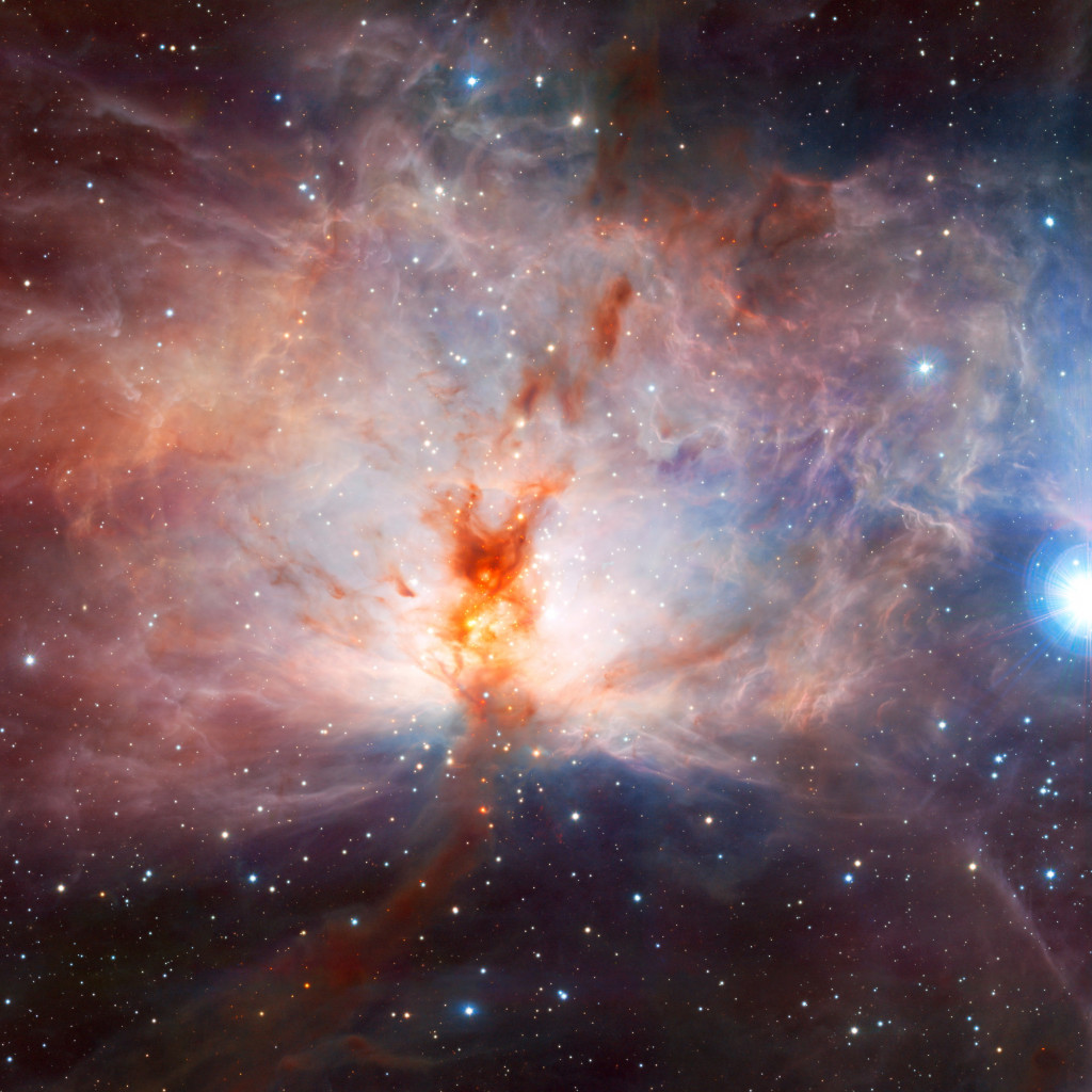 Flame Nebula, in the constellation of Orion wallpaper 1024x1024