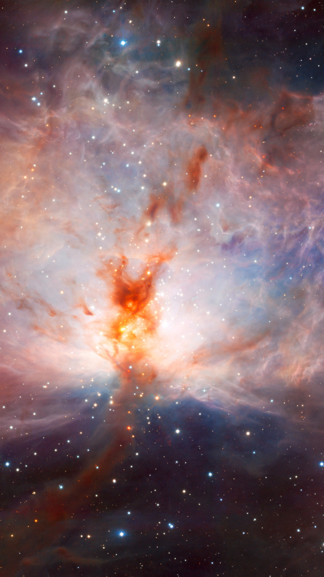 Flame Nebula, in the constellation of Orion wallpaper 1242x2208