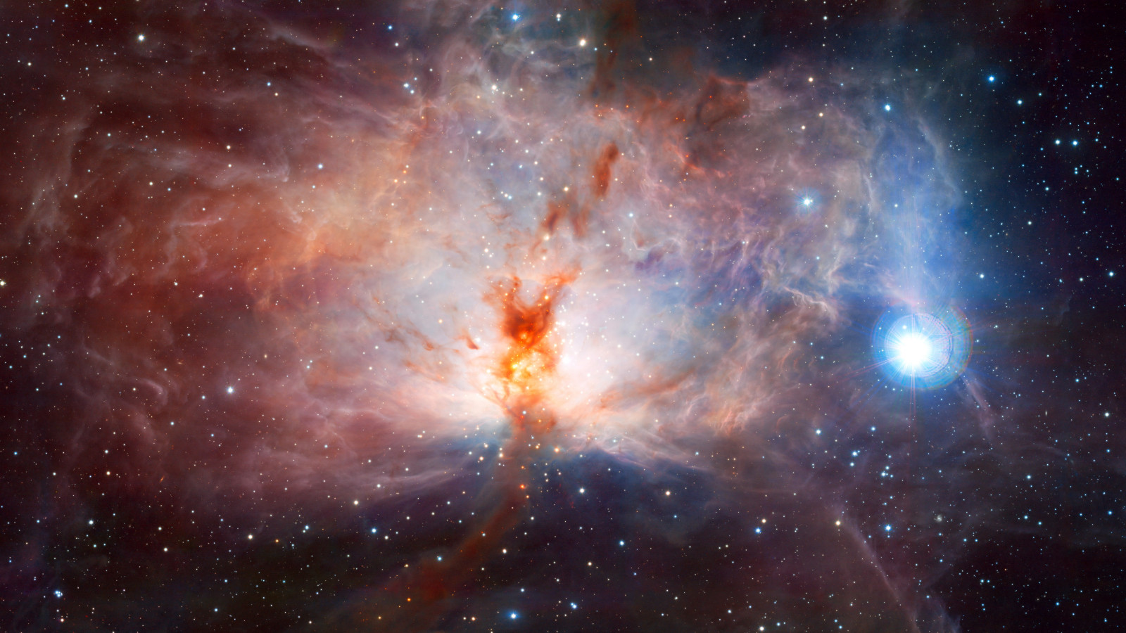 Flame Nebula, in the constellation of Orion wallpaper 1600x900