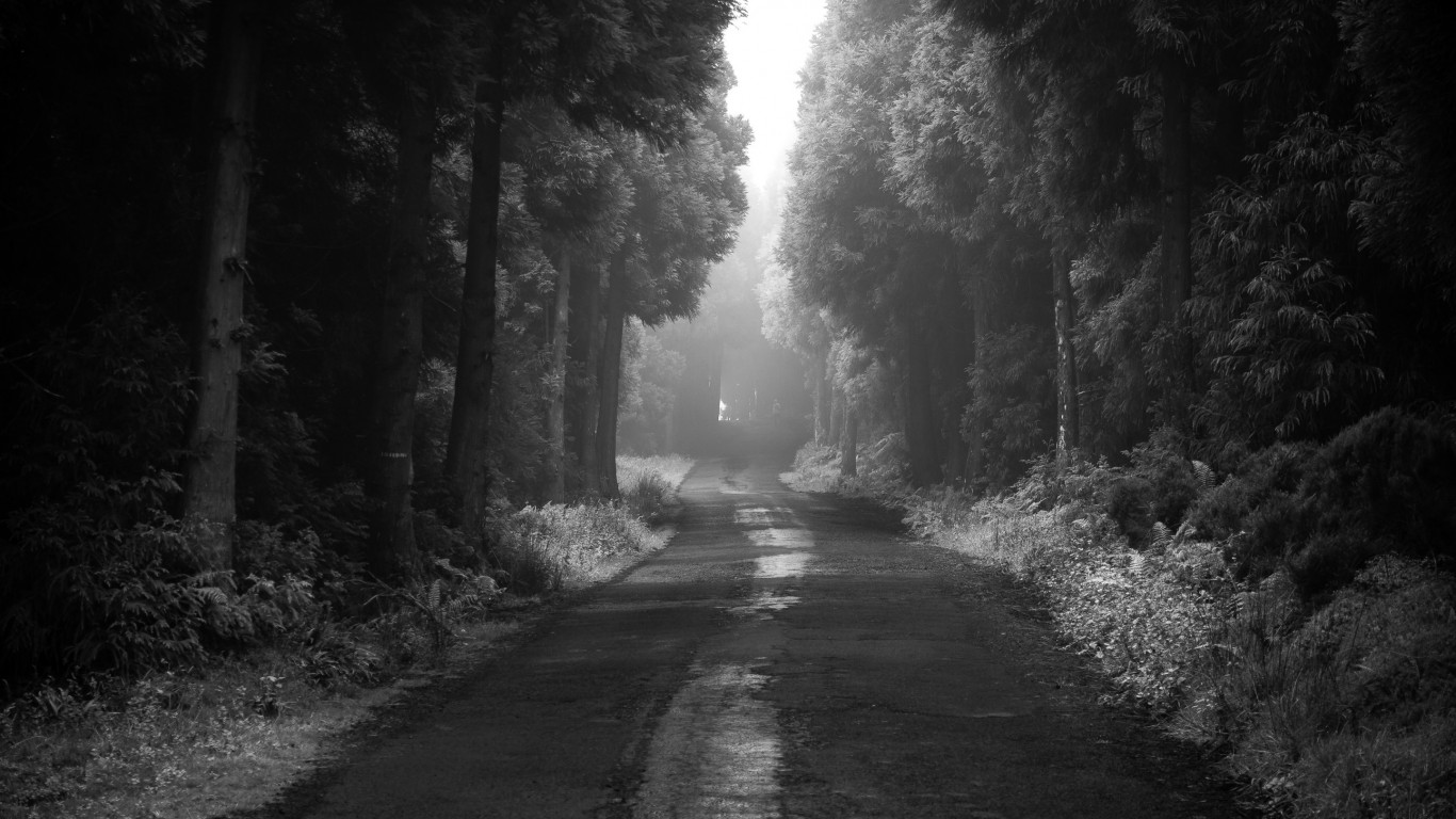 Road thru the dark forest wallpaper 1366x768