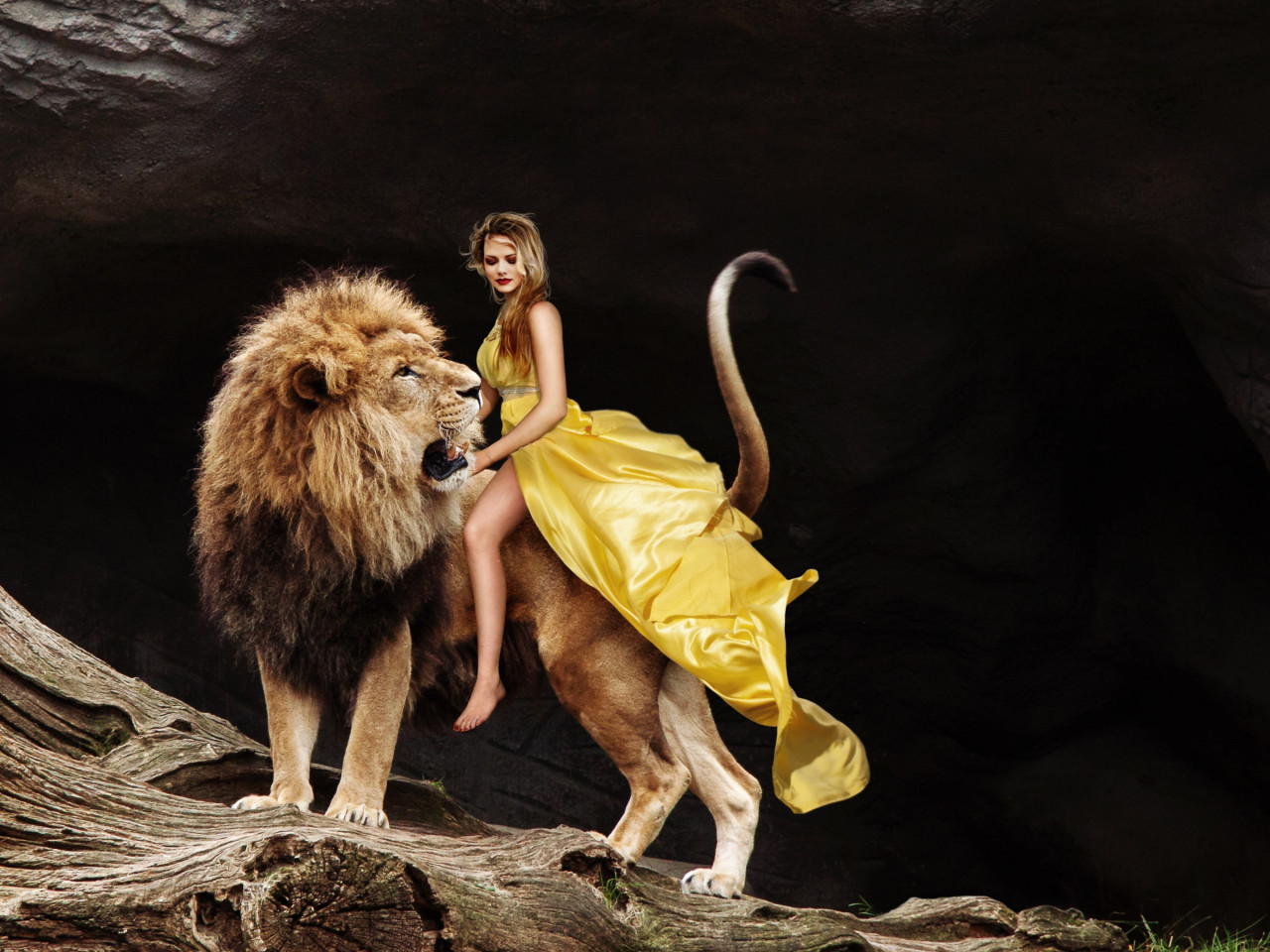 Lady and the Lion King wallpaper 1280x960