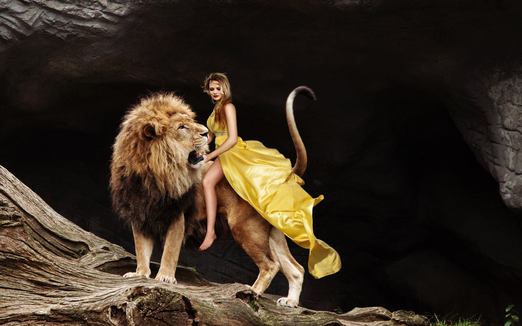 Lady and the Lion King wallpaper 1680x1050