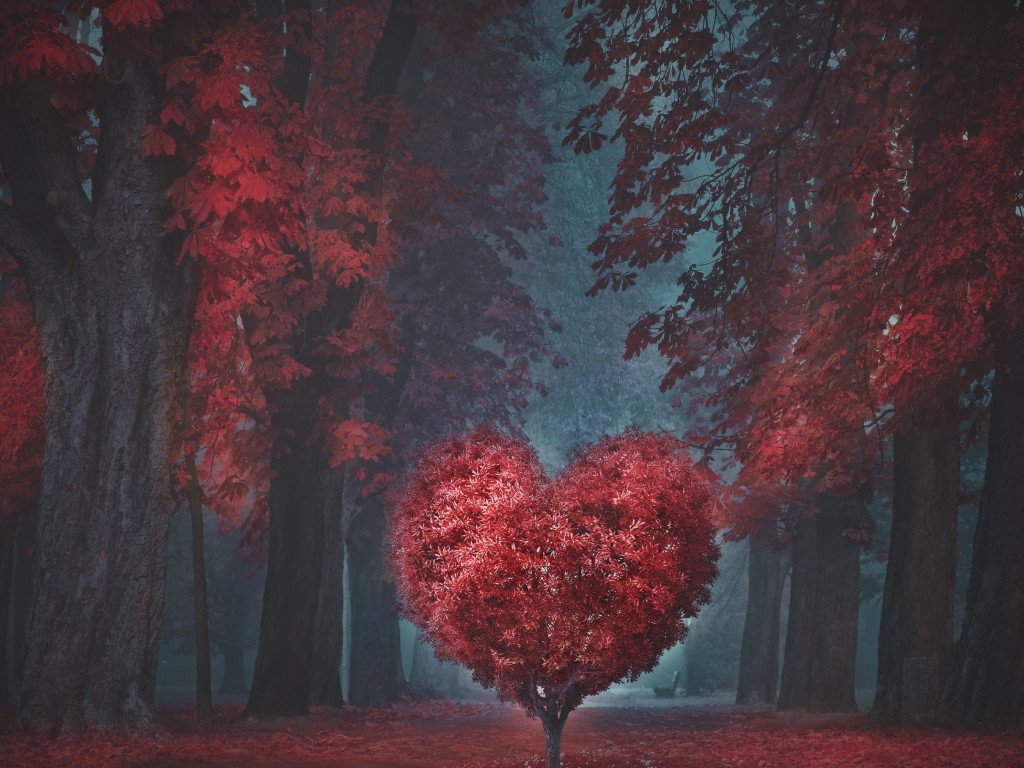 The heart of the forest wallpaper 1024x768