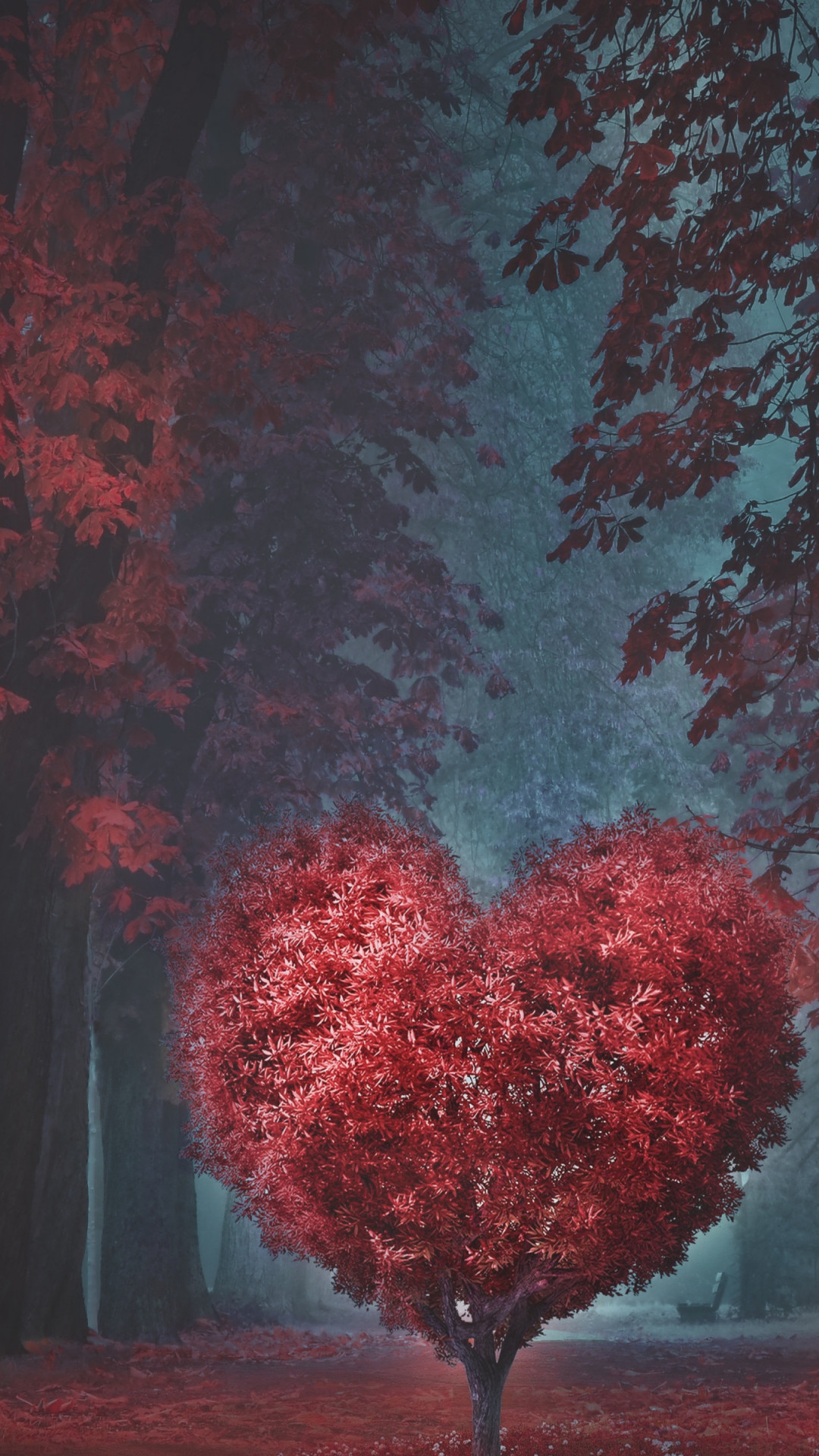 The heart of the forest wallpaper 1080x1920