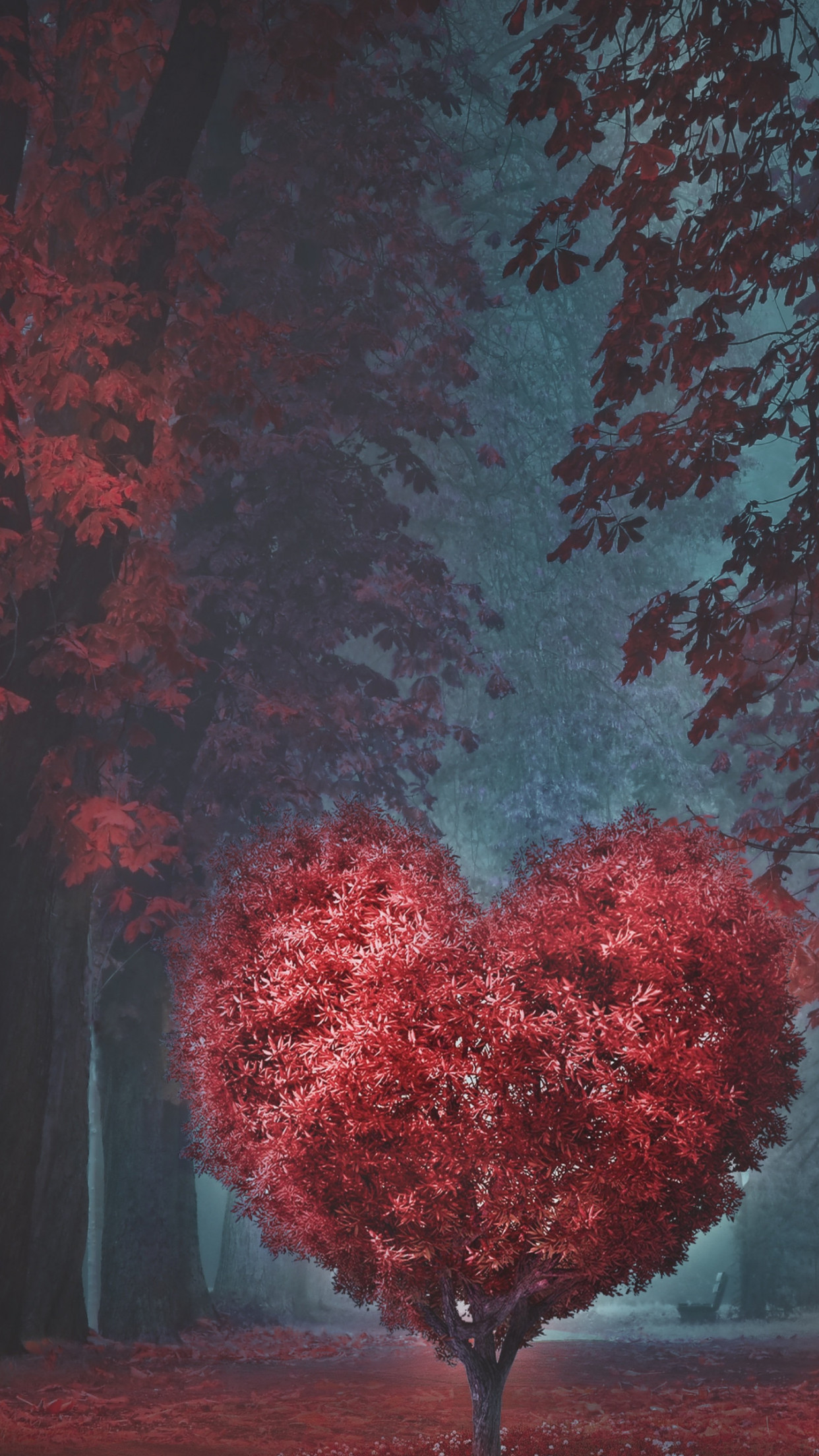 The heart of the forest wallpaper 1242x2208