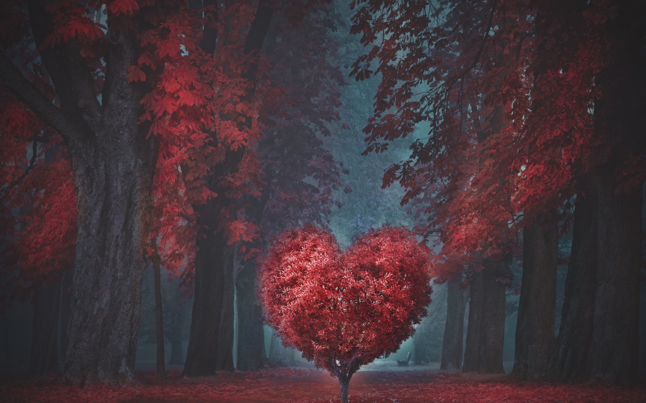 The heart of the forest wallpaper 1280x800
