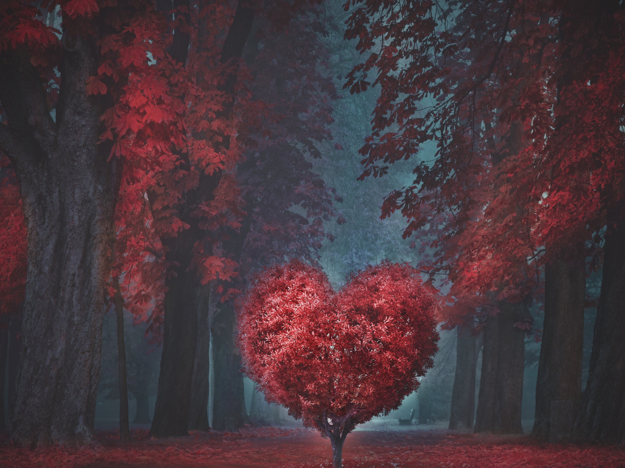 The heart of the forest wallpaper 1280x960