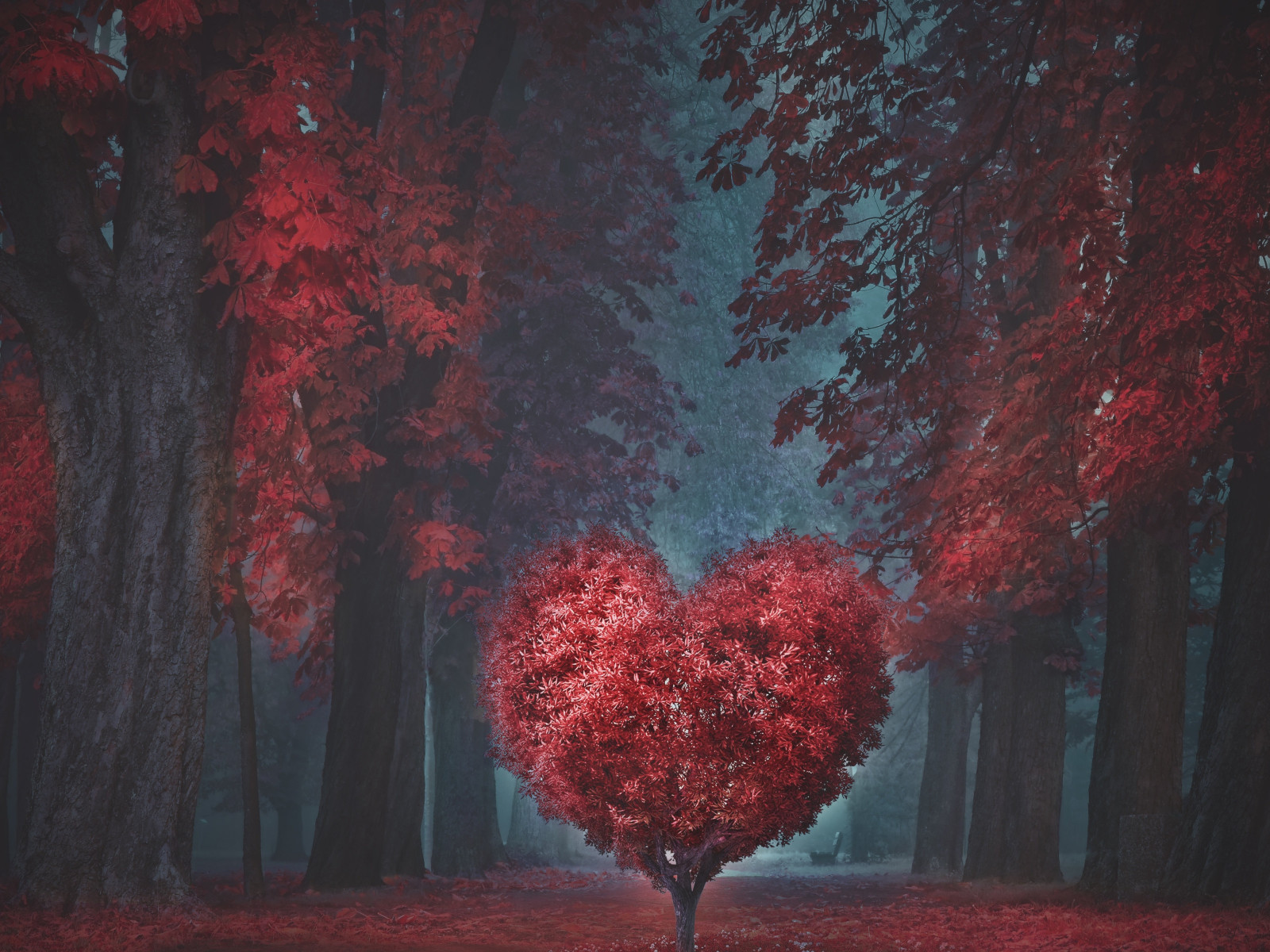 The heart of the forest wallpaper 1600x1200