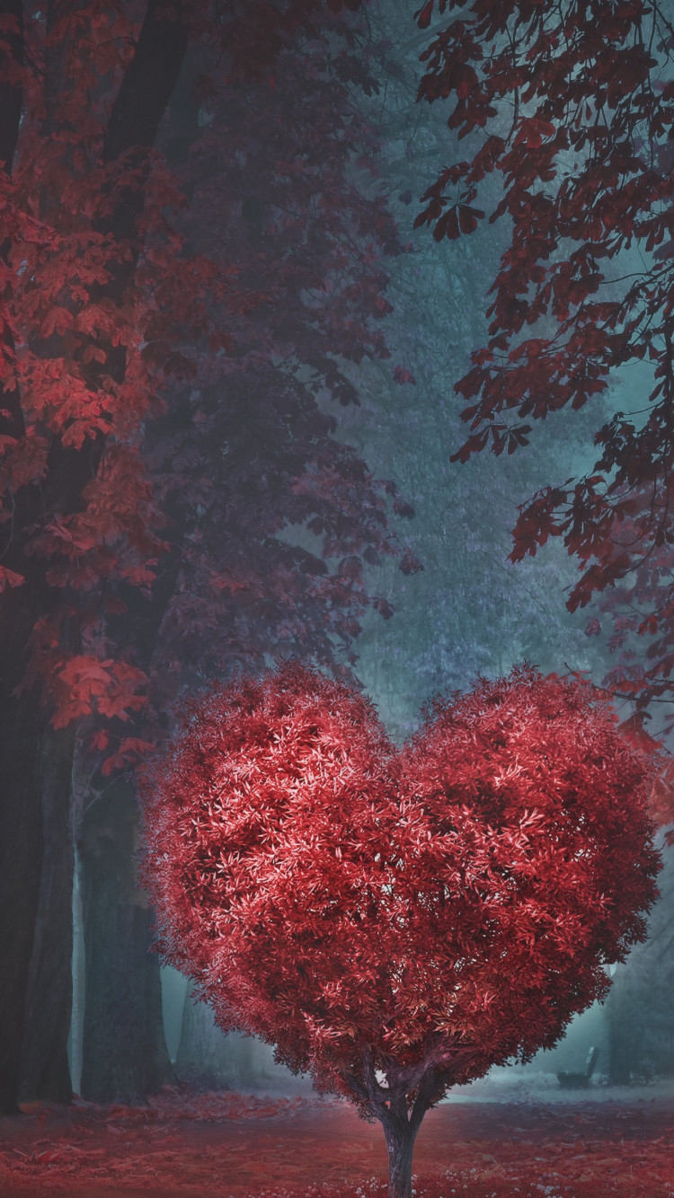The heart of the forest wallpaper 750x1334