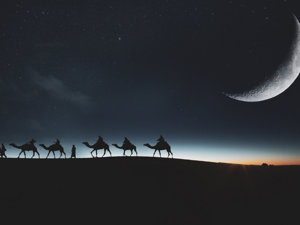 Traveling through desert on camels wallpaper 1024x768