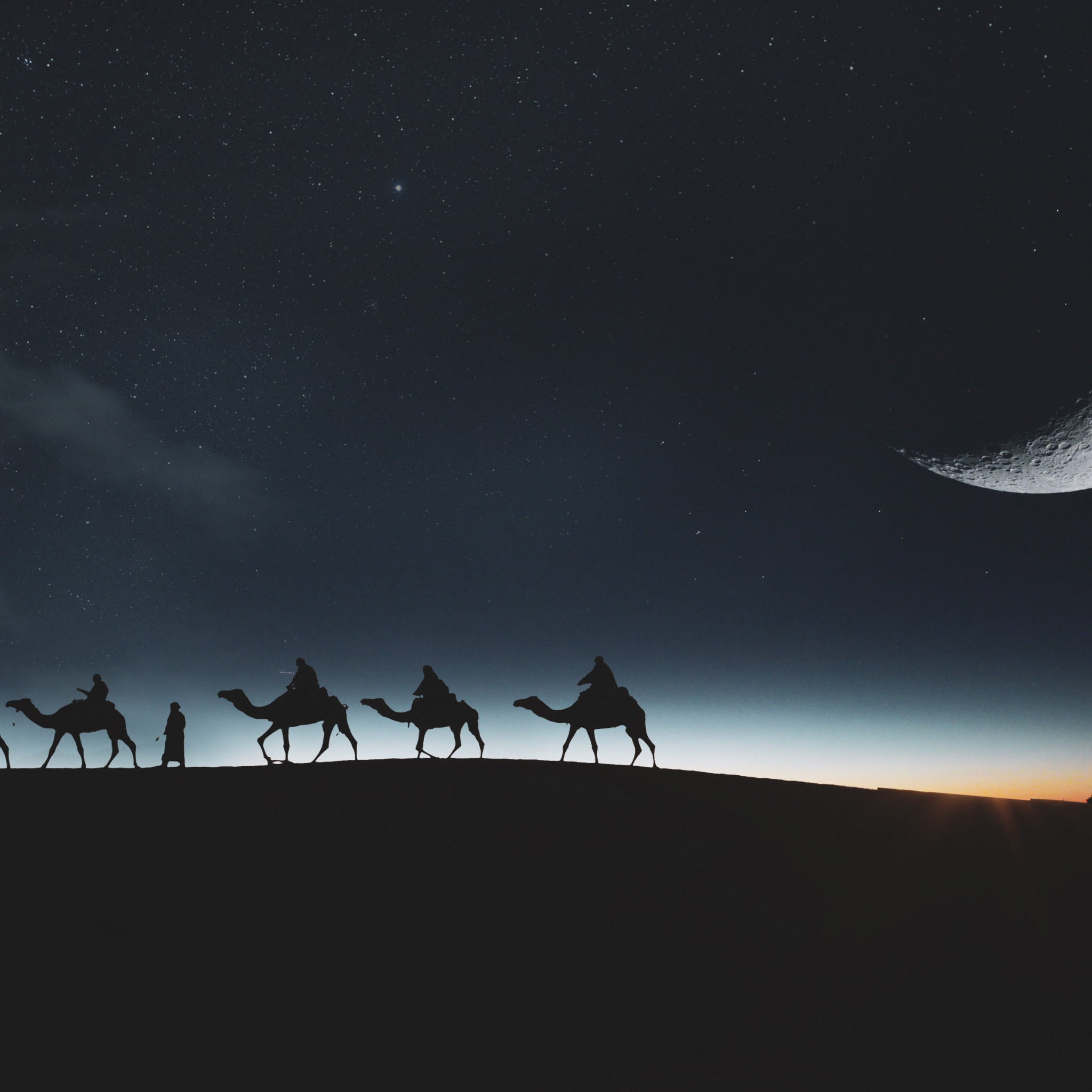 Traveling through desert on camels wallpaper 2048x2048