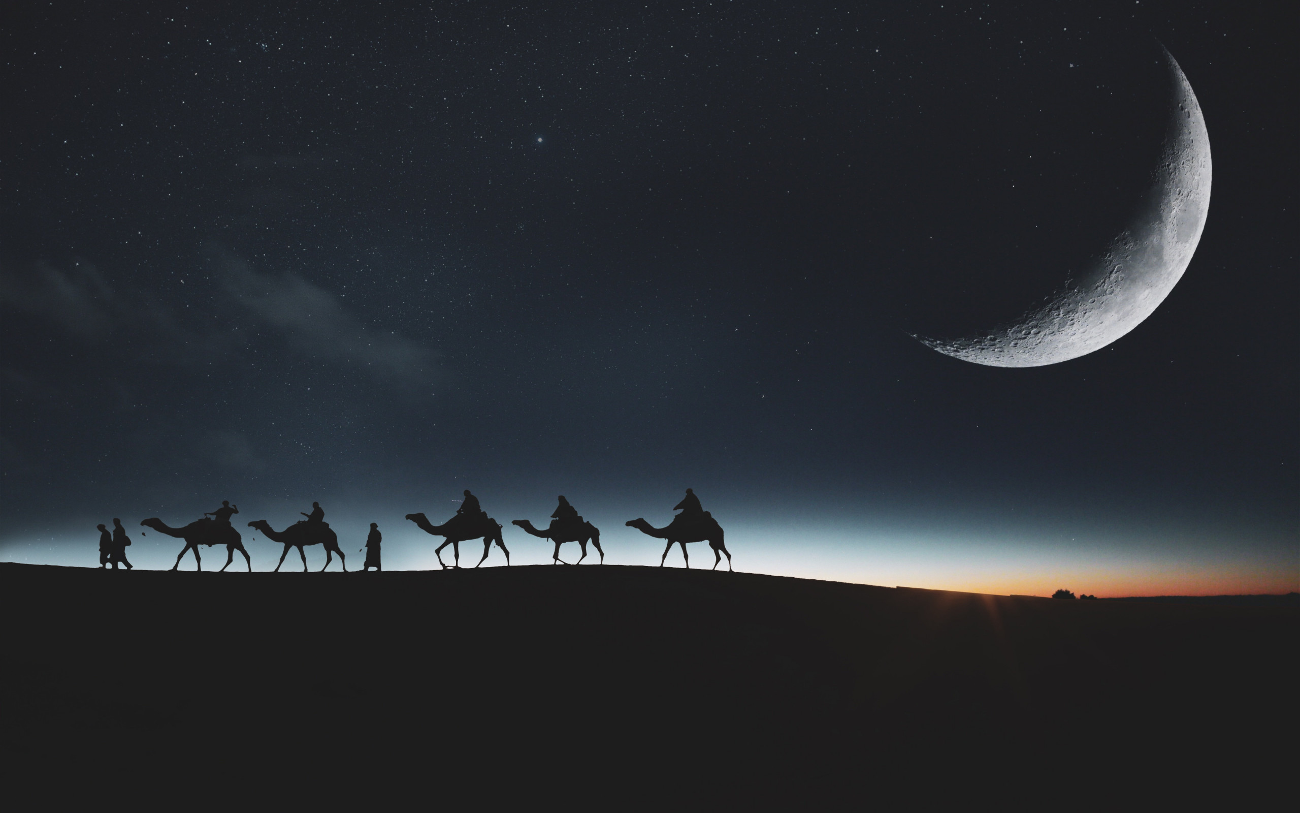 Traveling through desert on camels wallpaper 2560x1600