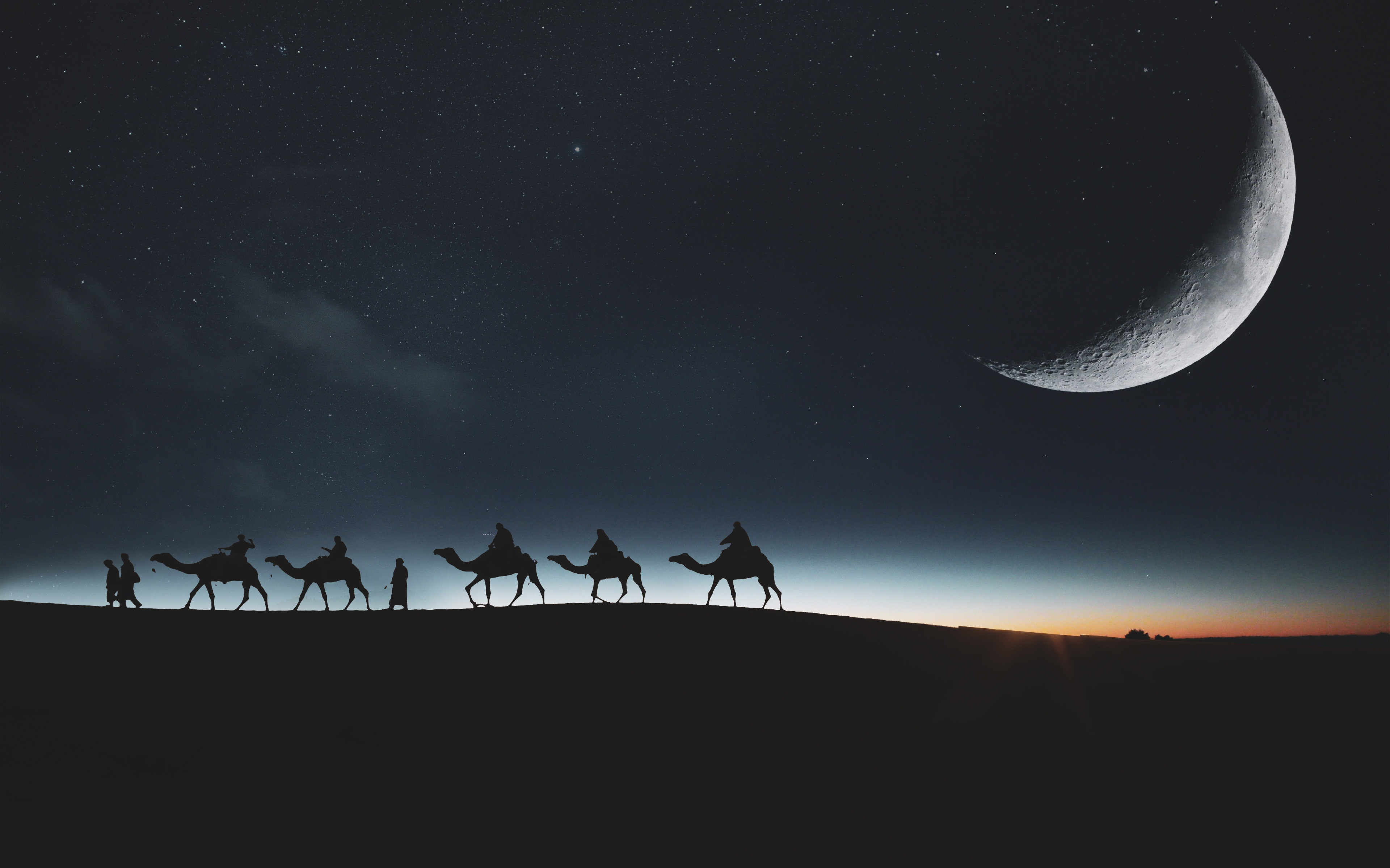 Traveling through desert on camels wallpaper 3840x2400