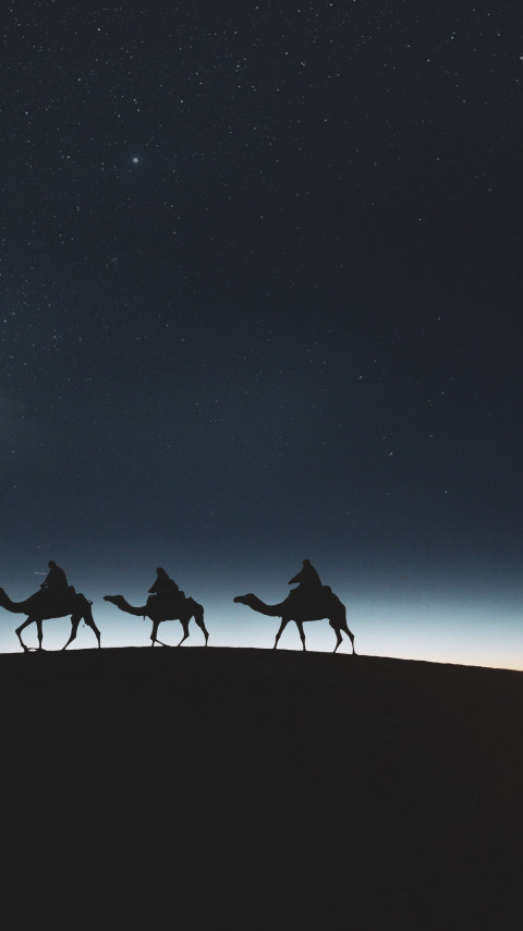 Traveling through desert on camels wallpaper 480x854