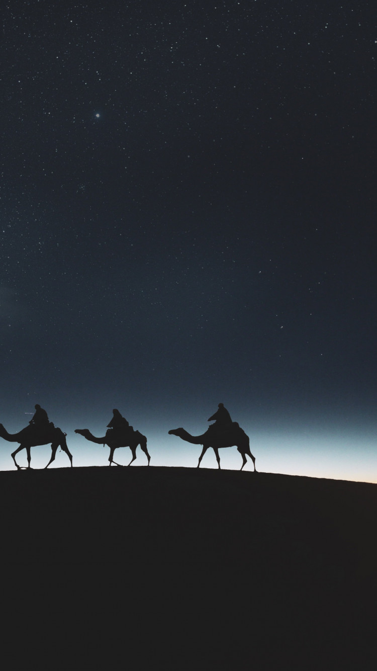 Traveling through desert on camels wallpaper 750x1334