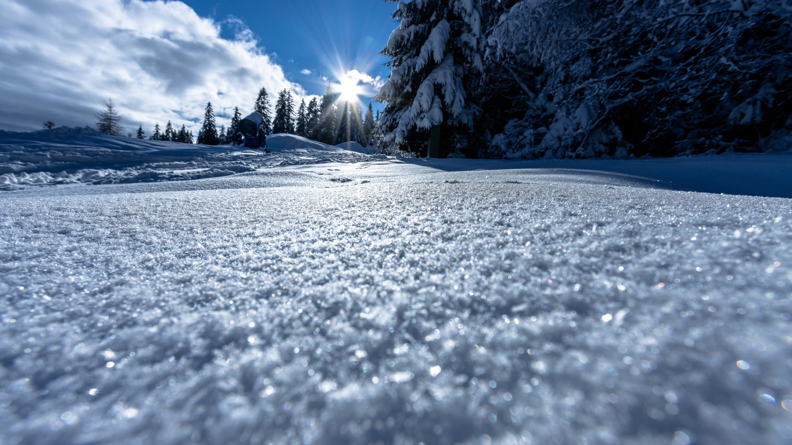 Sun rays bouncing through the snow landscape wallpaper 2560x1440