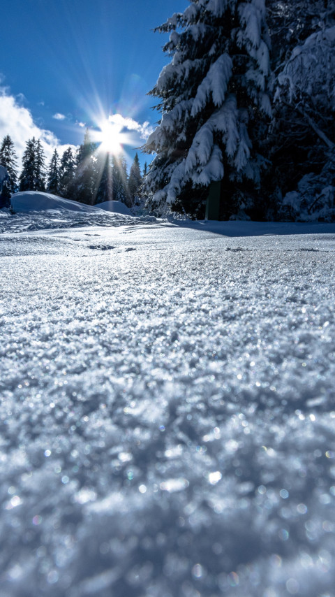 Sun rays bouncing through the snow landscape wallpaper 480x854