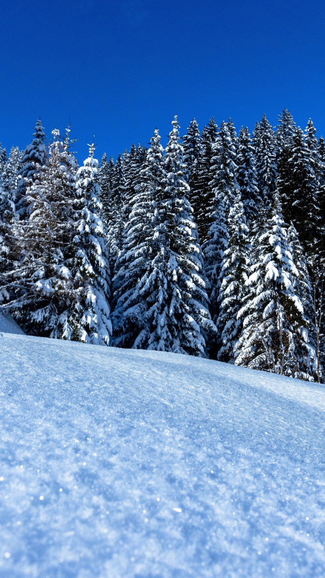Winter landscape full of snow wallpaper 1080x1920