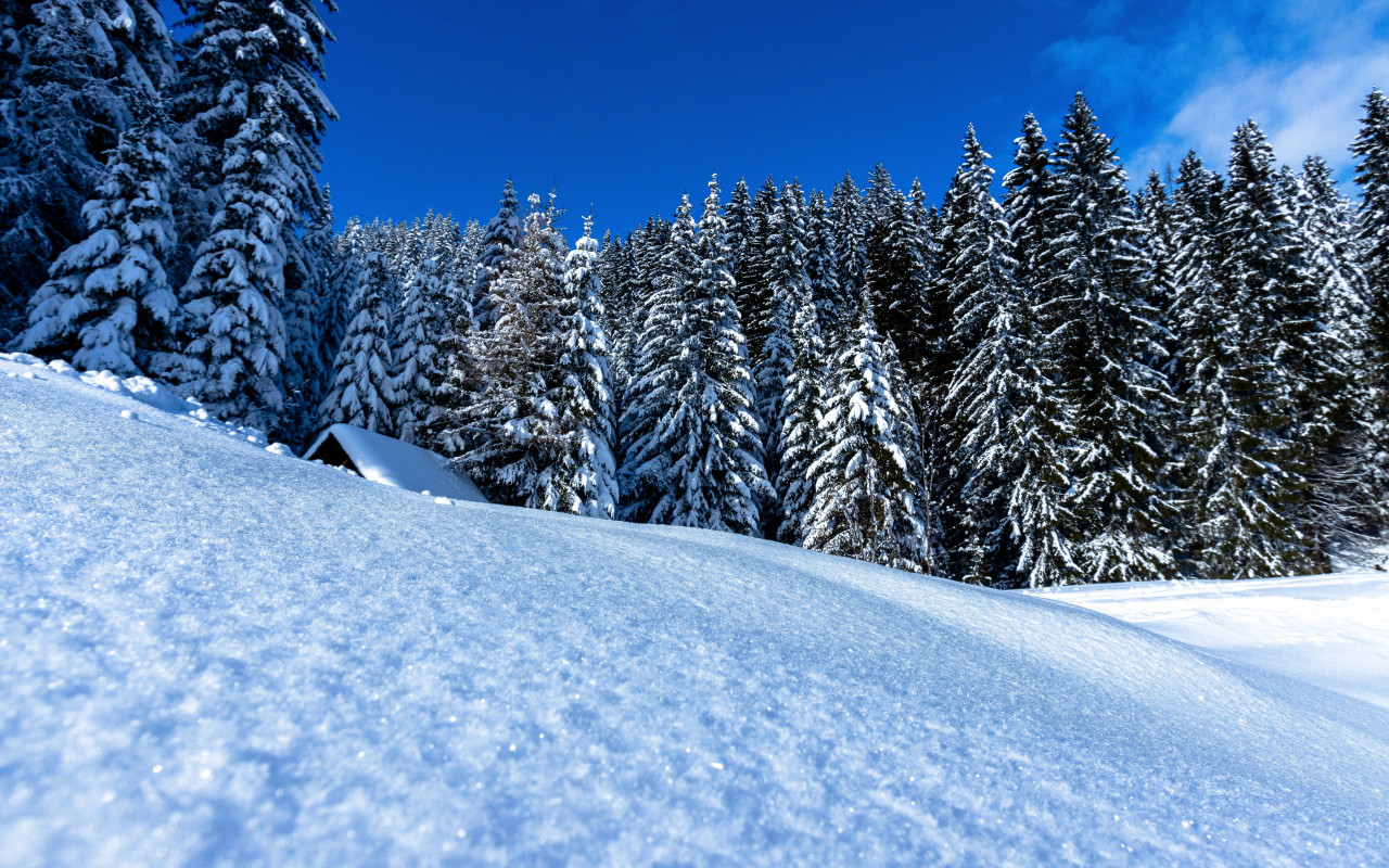 Winter landscape full of snow wallpaper 1280x800