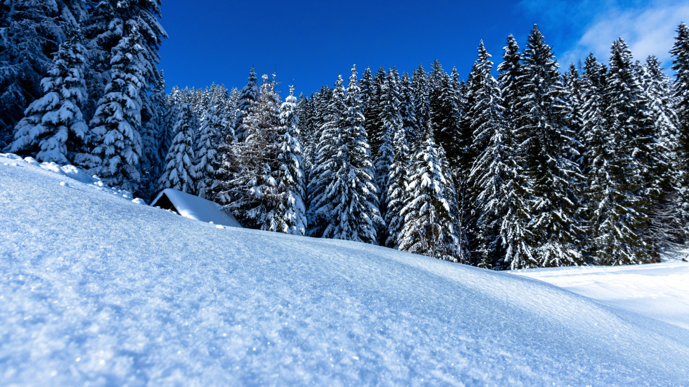Winter landscape full of snow wallpaper 1366x768
