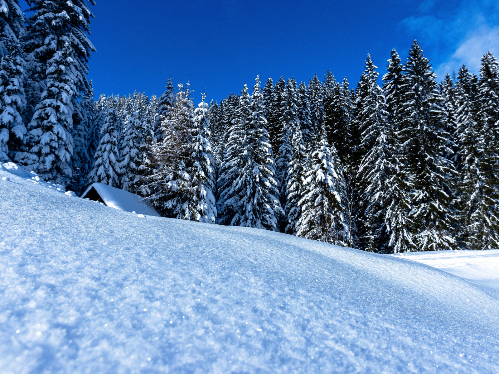 Winter landscape full of snow wallpaper 1600x1200