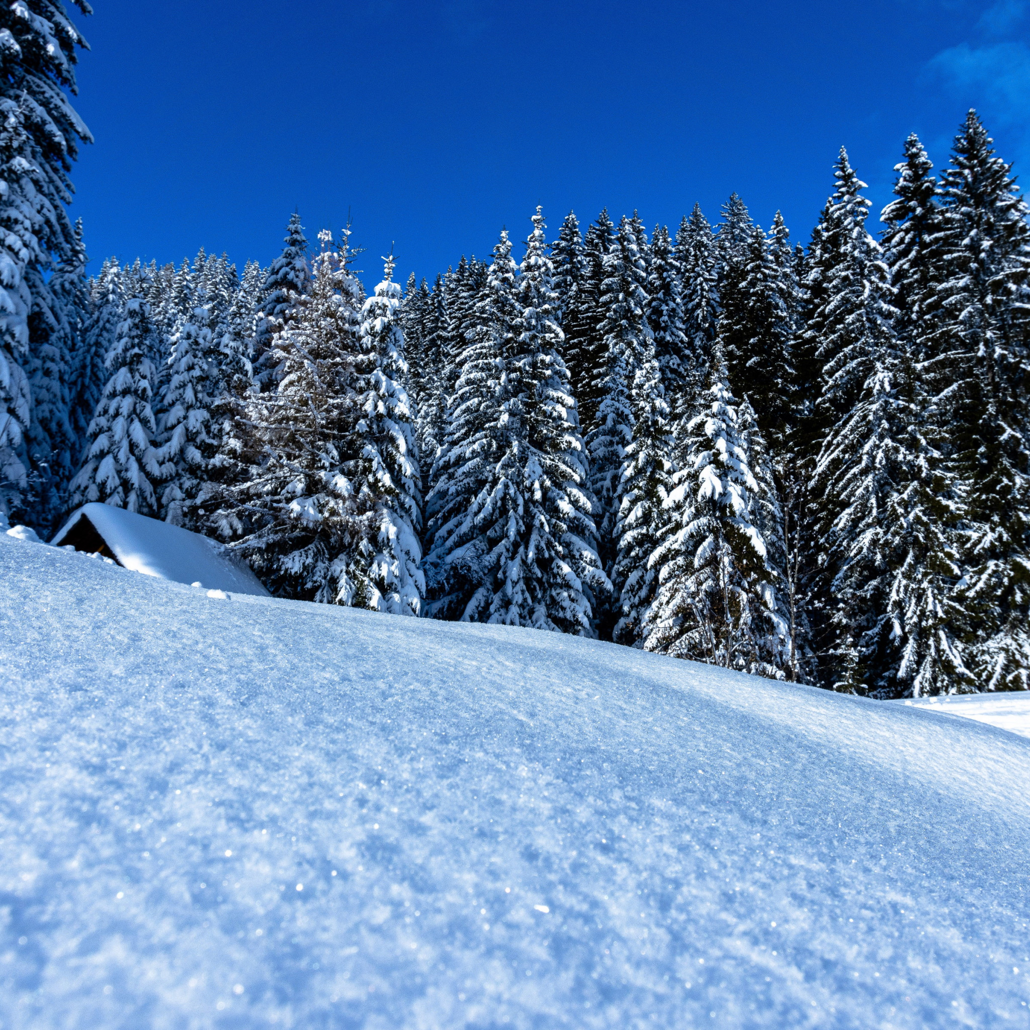 Winter landscape full of snow wallpaper 2048x2048