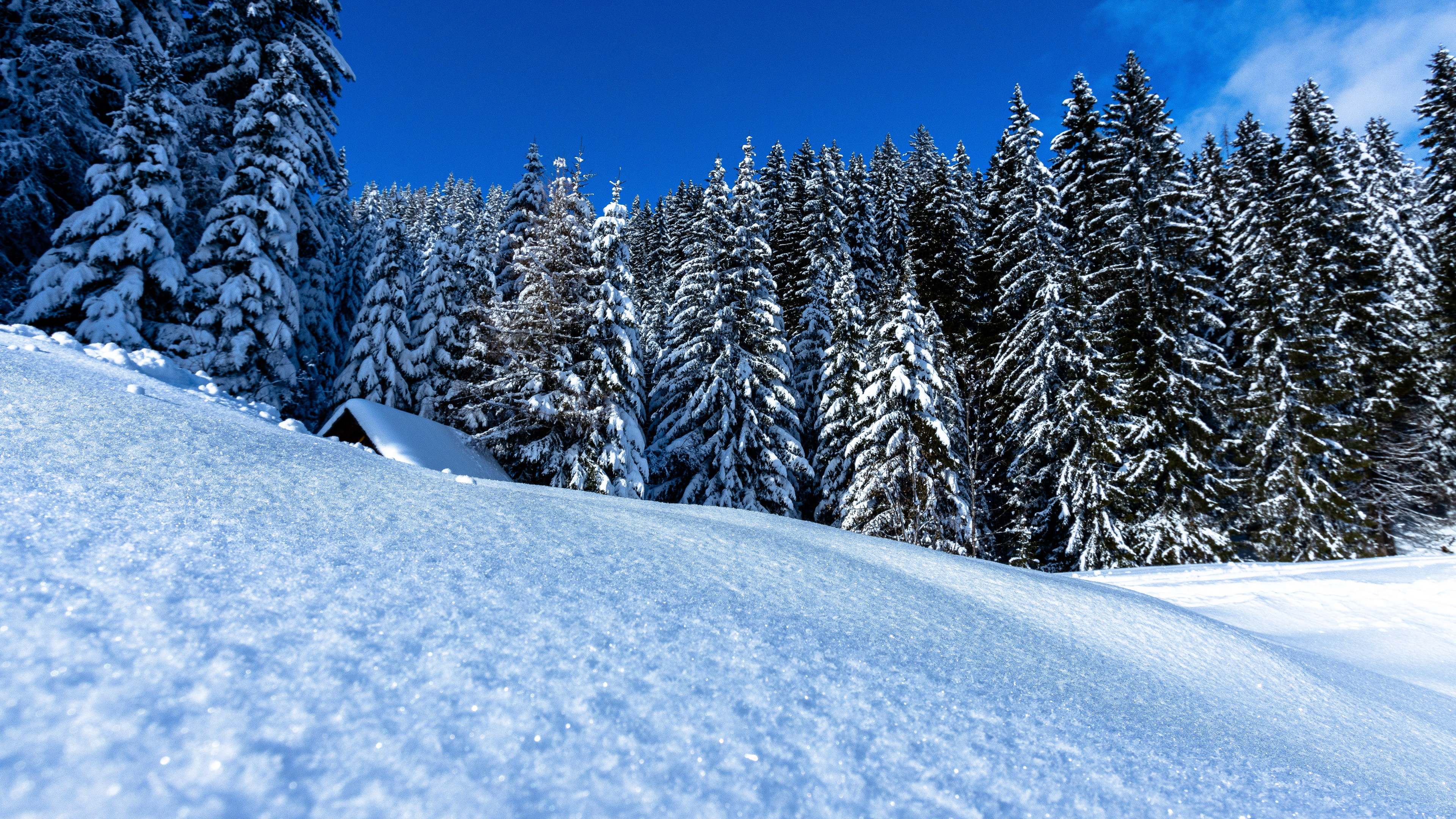 Winter landscape full of snow wallpaper 3840x2160