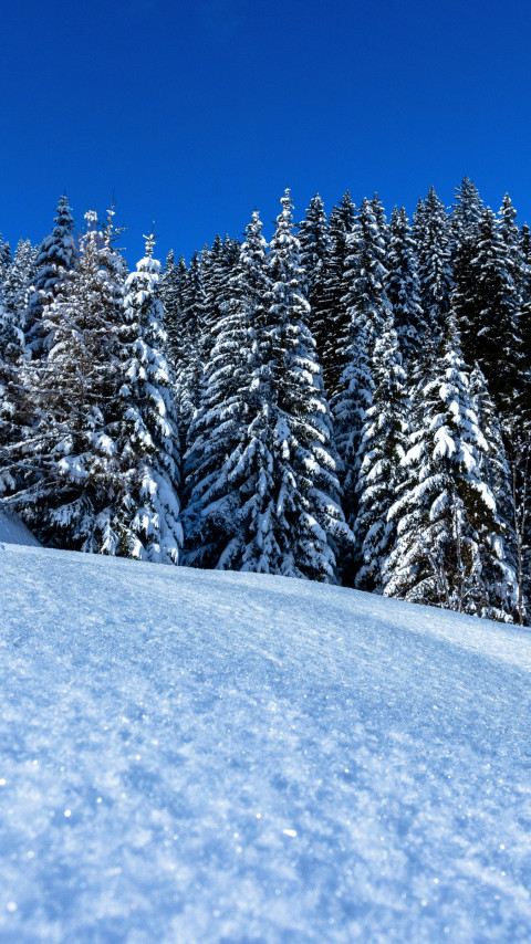 Winter landscape full of snow wallpaper 480x854