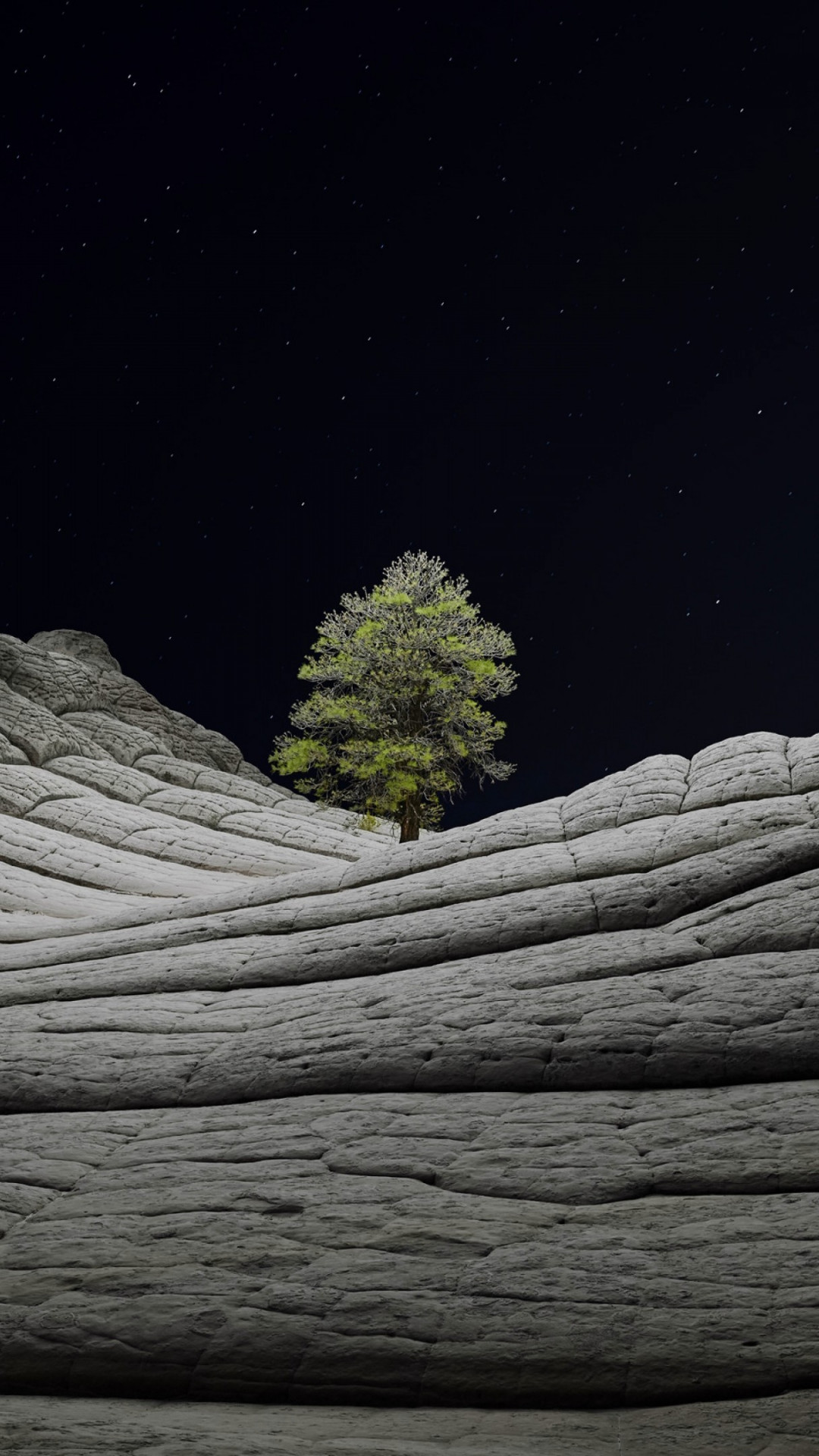Desert tree in the cold night wallpaper 1080x1920