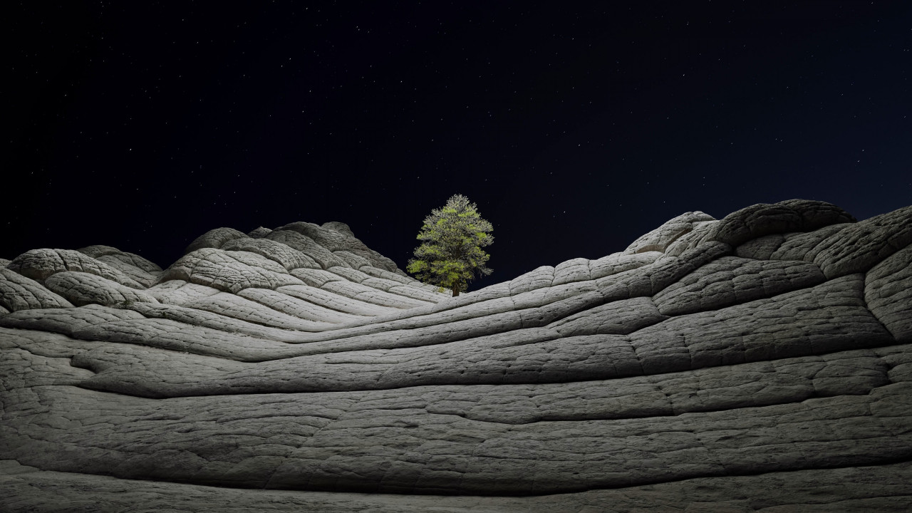 Desert tree in the cold night wallpaper 1280x720