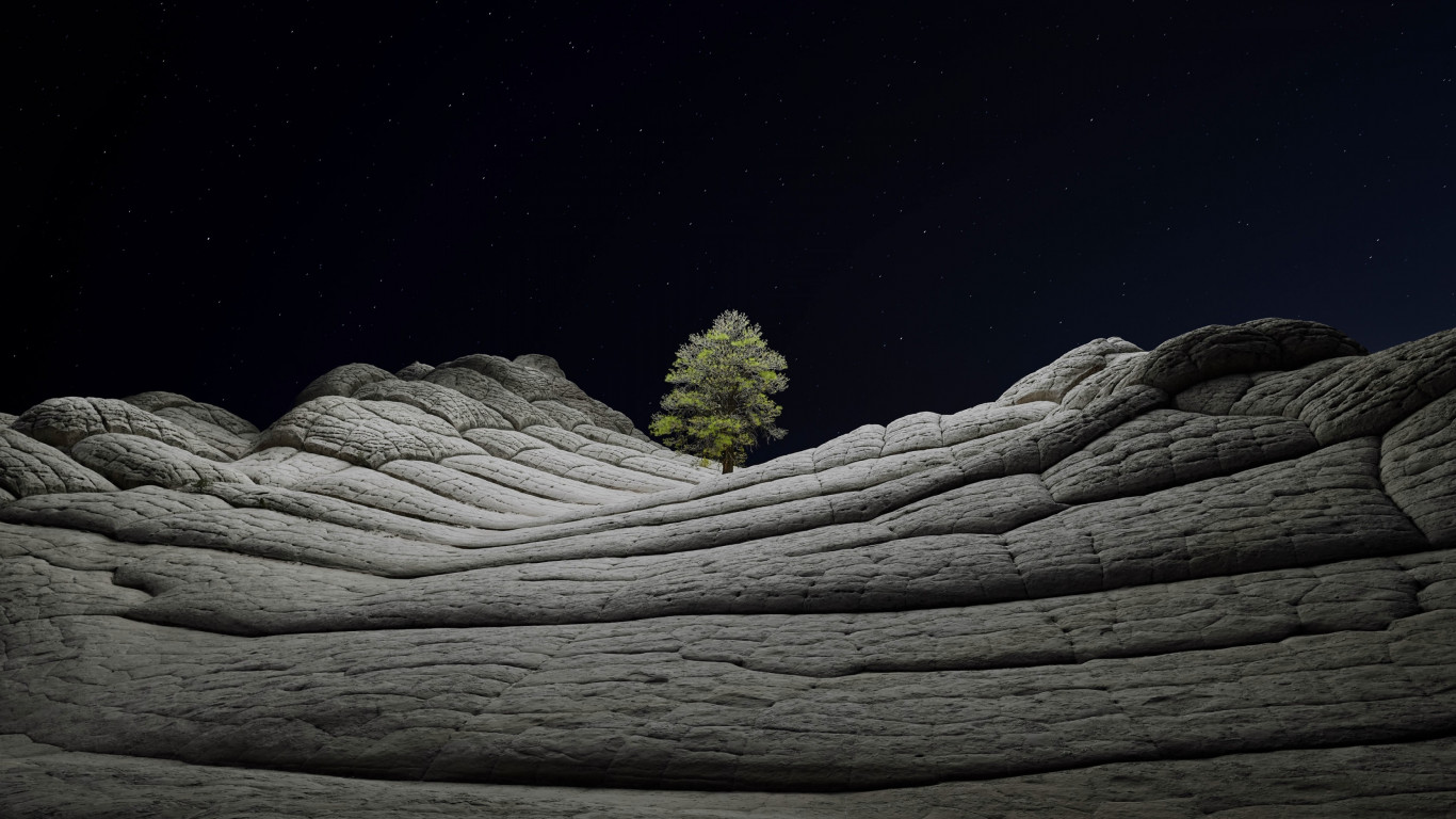 Desert tree in the cold night wallpaper 1366x768