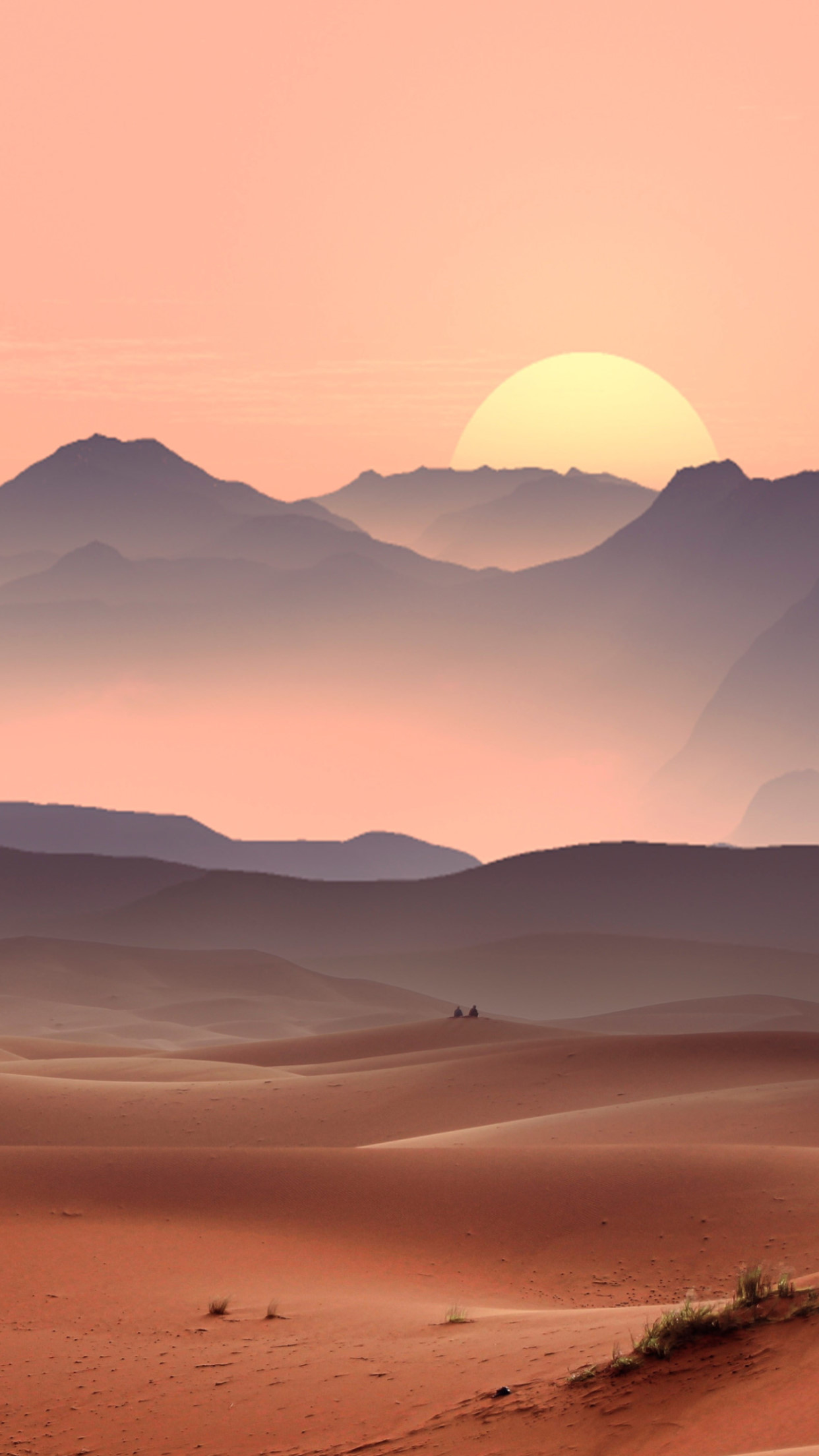 Sunset on the desert dunes wallpaper 1242x2208