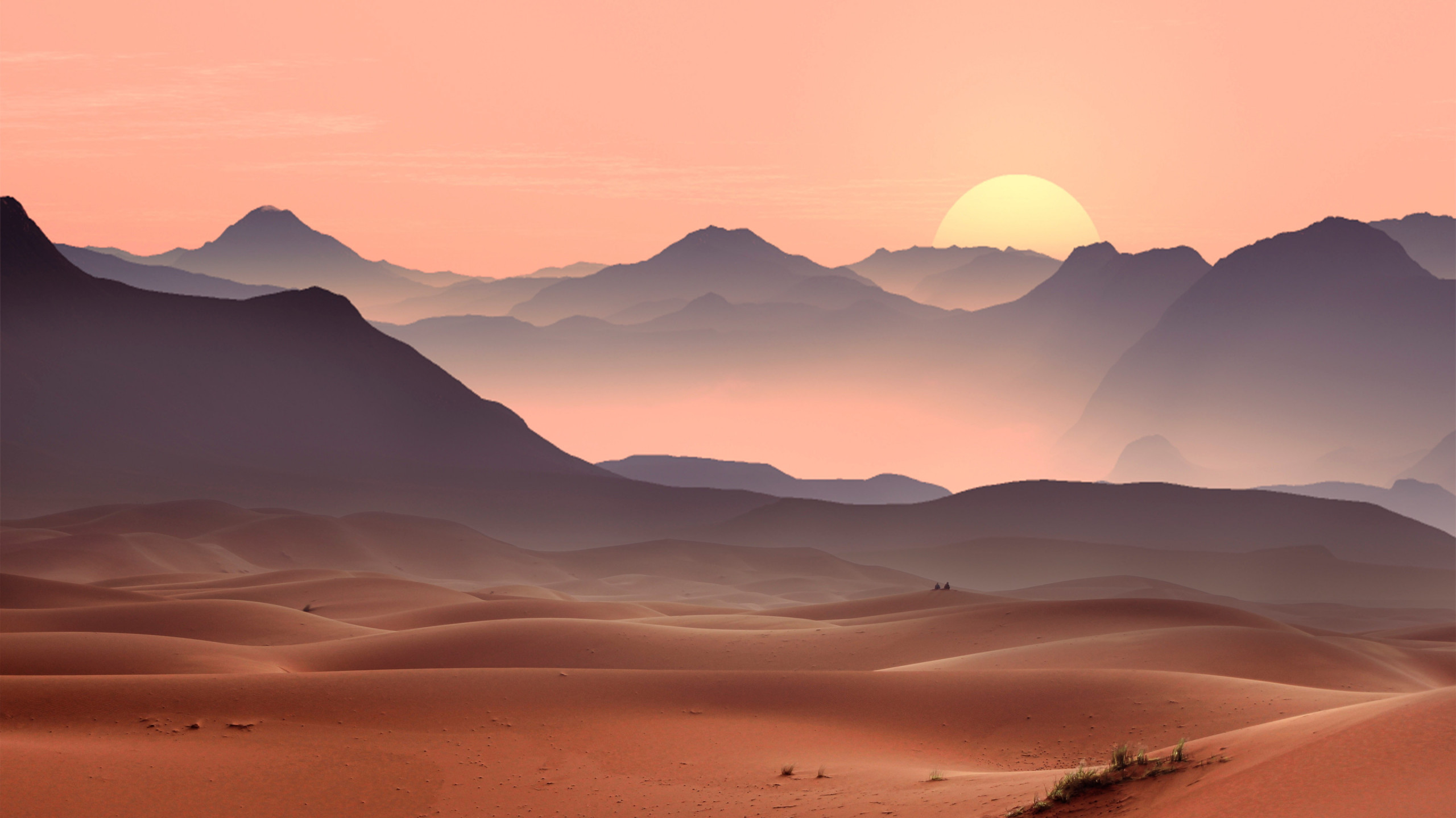 Sunset on the desert dunes wallpaper 2560x1440