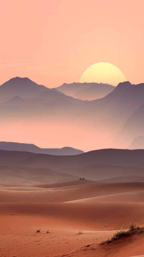 Sunset on the desert dunes wallpaper 480x854