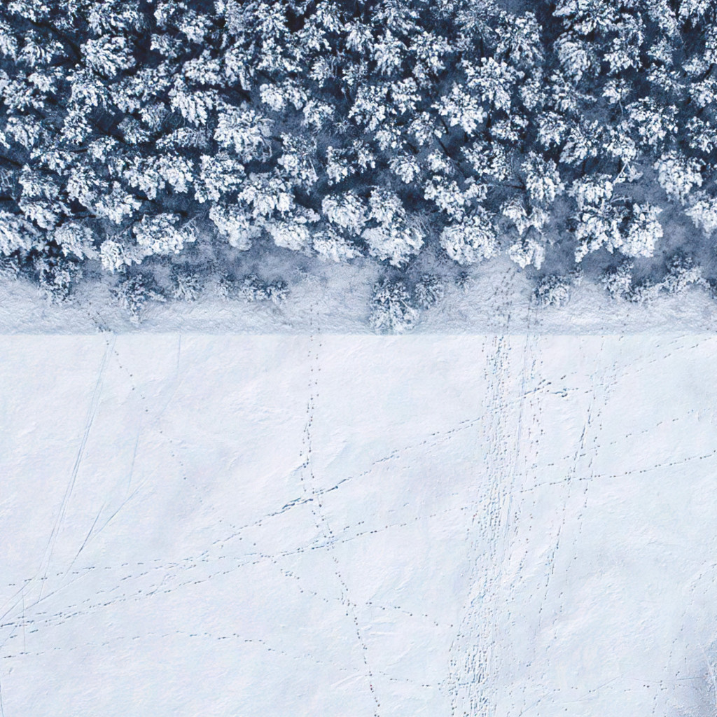 Winter landscape seen from a drone wallpaper 1024x1024