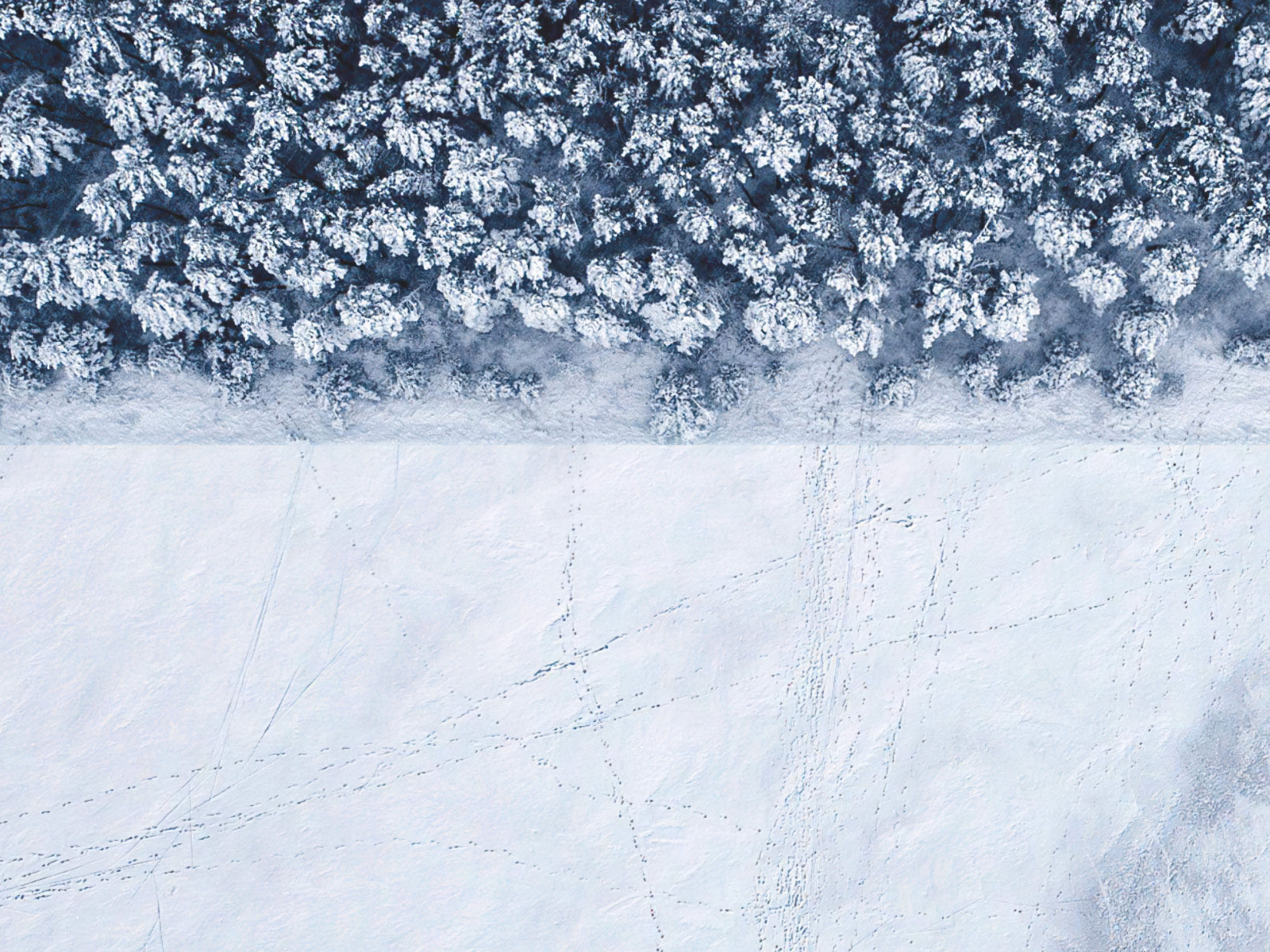 Winter landscape seen from a drone wallpaper 1600x1200