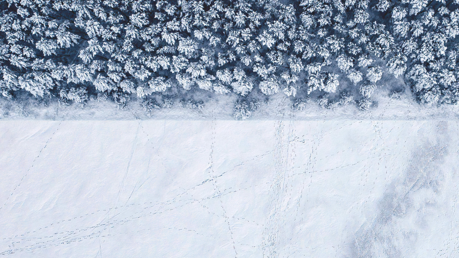 Winter landscape seen from a drone wallpaper 1600x900