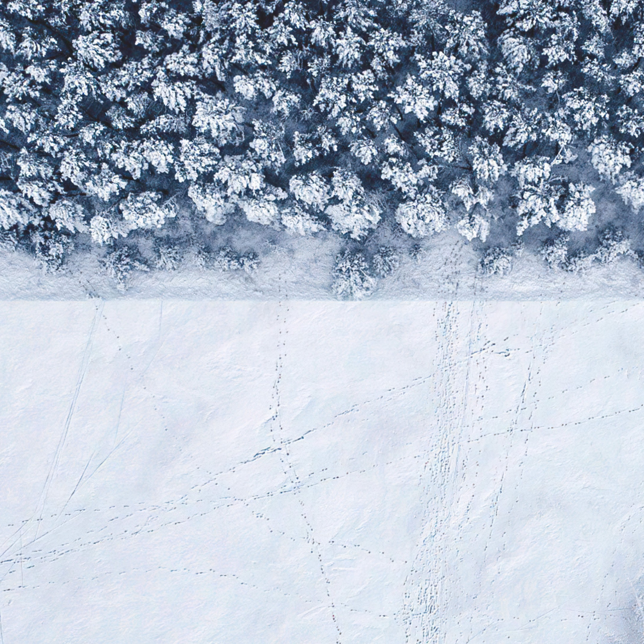 Winter landscape seen from a drone wallpaper 2048x2048