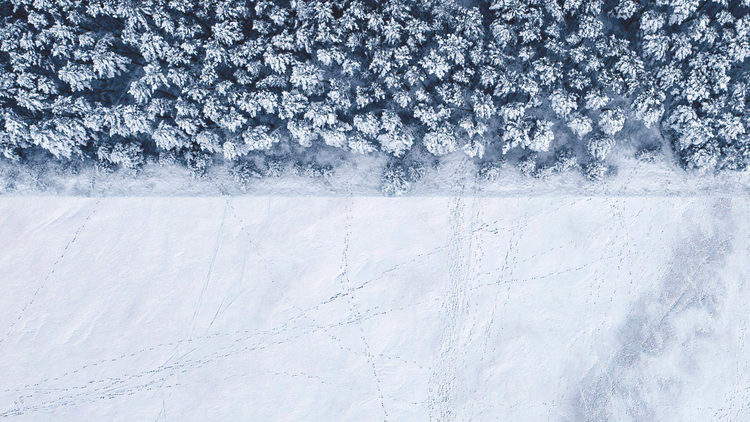 Winter landscape seen from a drone wallpaper 2560x1440