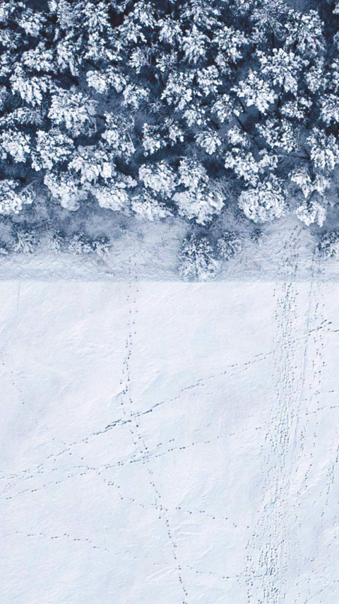 Winter landscape seen from a drone wallpaper 480x854